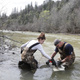 Illustration for article titled Why California's Drought Is Good News for Gold Prospectors